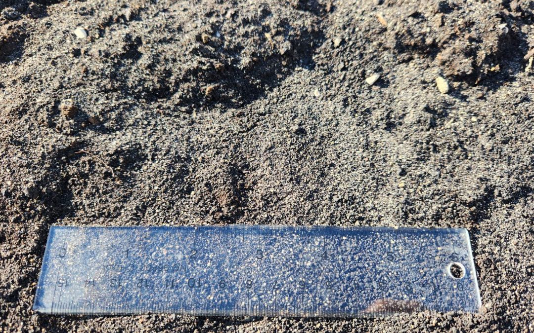 4-Way Mix Soil
